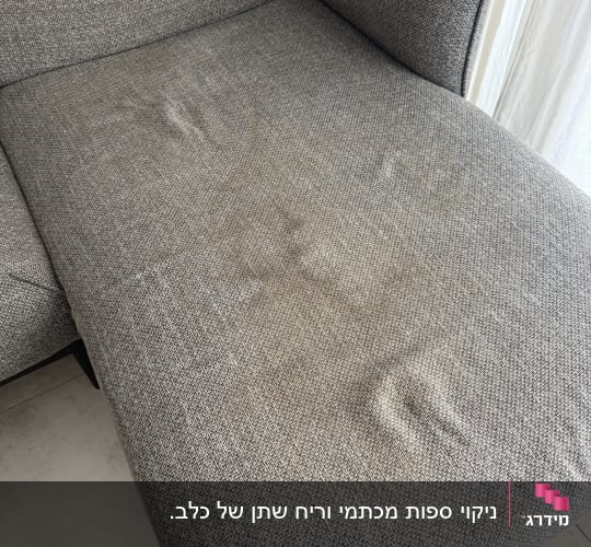 ספה אפורה עם סימני לכלוך קלים
